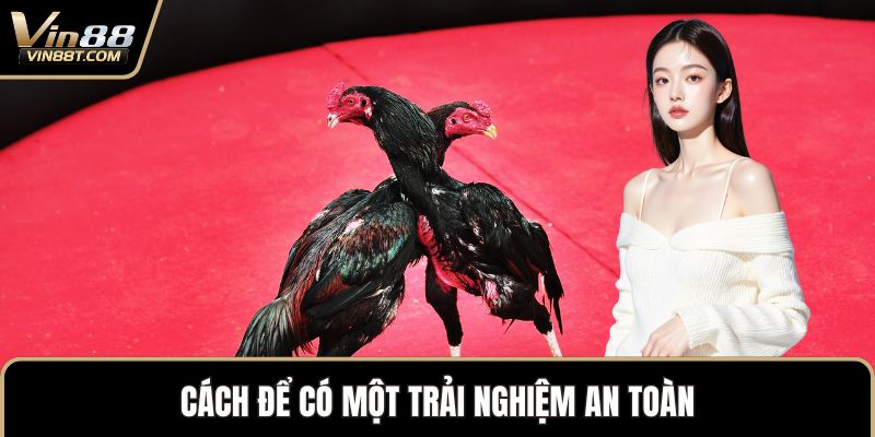 Đá Gà Trực Tiếp – Trải Nghiệm Vô Cùng Kịch Tính Đỉnh Cao Đá Gà Trực Tiếp – Trải Nghiệm Vô Cùng Kịch Tính Đỉnh Cao