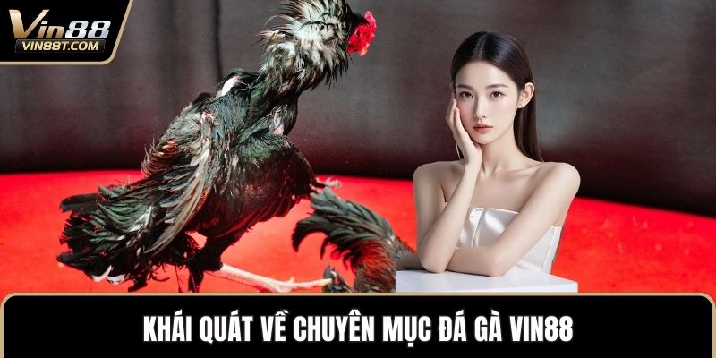 Đá Gà VIN88: Trải Nghiệm Đấu Kê Online Gay Cấn, Minh Bạch