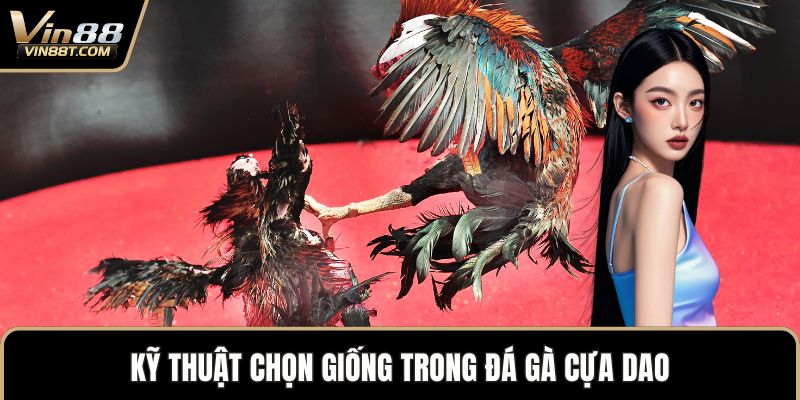 Đá Gà Cựa Dao – Đỉnh Cao Kịch Tính Trong Thế Giới Gà Chọi Đá Gà Cựa Dao – Đỉnh Cao Kịch Tính Trong Thế Giới Gà Chọi