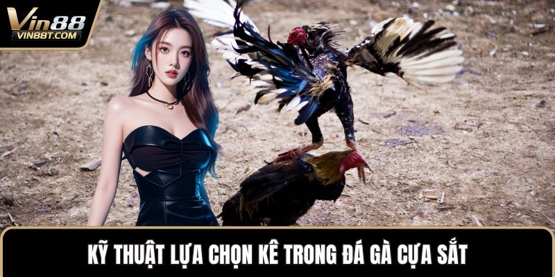Đá Gà Cựa Sắt – Sự Kết Hợp Mang Đến Nét Mới Độc Đáo
