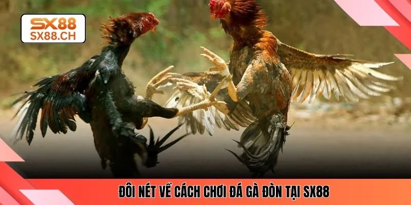Đá Gà Đòn SX88 – Kinh Nghiệm Chuẩn Xác Cho Người Mới