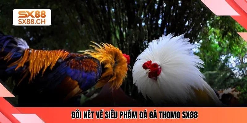 TIN TỨC - SX88