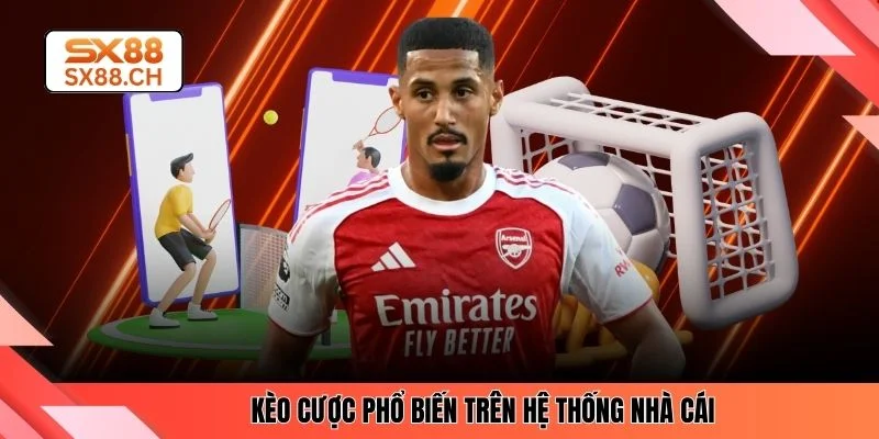 Thể Thao SX88 - Trải Nghiệm Top 5 Kèo Cá Cược Đỉnh Cao