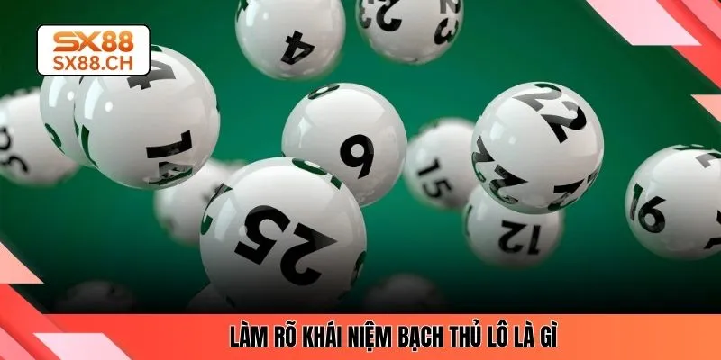 Bạch Thủ Lô Là Gì? Kiến Thức Cơ Bản Cho Người Mới SX88