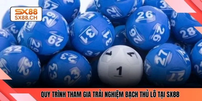 Bạch Thủ Lô Là Gì? Kiến Thức Cơ Bản Cho Người Mới SX88