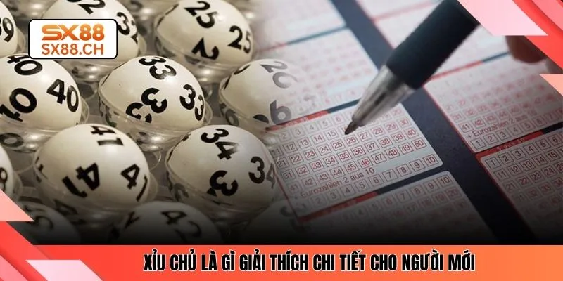Xỉu Chủ Là Gì? Hướng Dẫn Cách Chơi Đơn Giản Nhất Tại SX88 