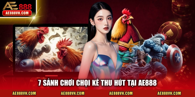 Đá Gà AE888 - Trực Tiếp 100% Từ Trường Đấu Gà Uy Tín 