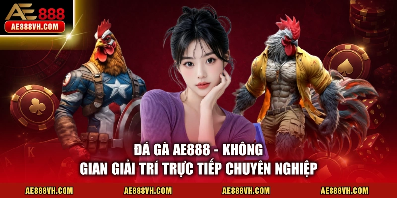 Đá Gà AE888 - Trực Tiếp 100% Từ Trường Đấu Gà Uy Tín 
