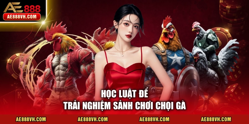 Đá Gà AE888 - Trực Tiếp 100% Từ Trường Đấu Gà Uy Tín 