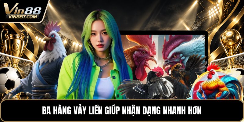 Vảy Gà Tam Tài - Cách Nhận Biết Qua Từng Hàng Vảy Gà Vảy Gà Tam Tài - Cách Nhận Biết Qua Từng Hàng Vảy Gà