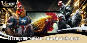 Đá Gà VIN88: Trải Nghiệm Đấu Kê Online Gay Cấn, Minh Bạch