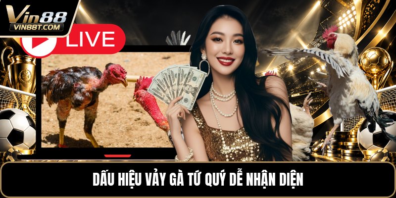 Vảy Gà Tứ Quý - Cách Nhận Biết Chuẩn Khi Xem Chân Gà Vảy Gà Tứ Quý - Cách Nhận Biết Chuẩn Khi Xem Chân Gà