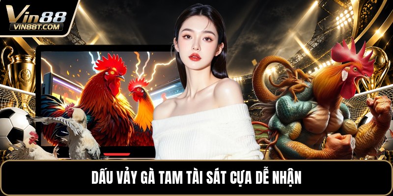 Vảy Gà Tam Tài - Cách Nhận Biết Qua Từng Hàng Vảy Gà Vảy Gà Tam Tài - Cách Nhận Biết Qua Từng Hàng Vảy Gà