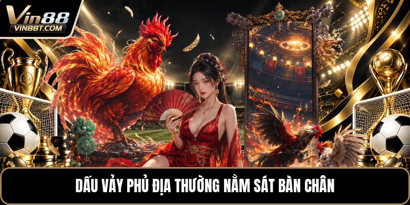 Vảy Gà Tứ Quý Phủ Địa - Cách Nhận Biết Dấu Vảy Chuẩn