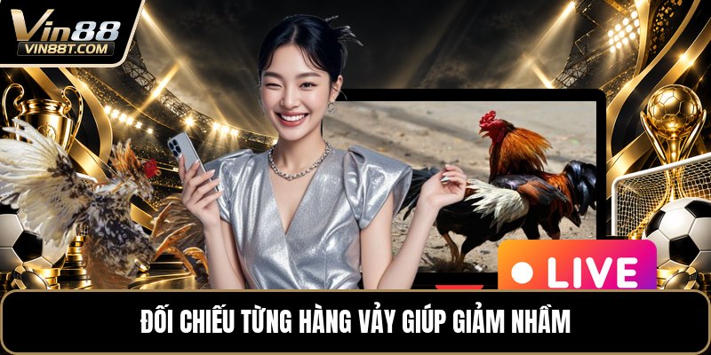 Vảy Gà Tam Tài - Cách Nhận Biết Qua Từng Hàng Vảy Gà Vảy Gà Tam Tài - Cách Nhận Biết Qua Từng Hàng Vảy Gà