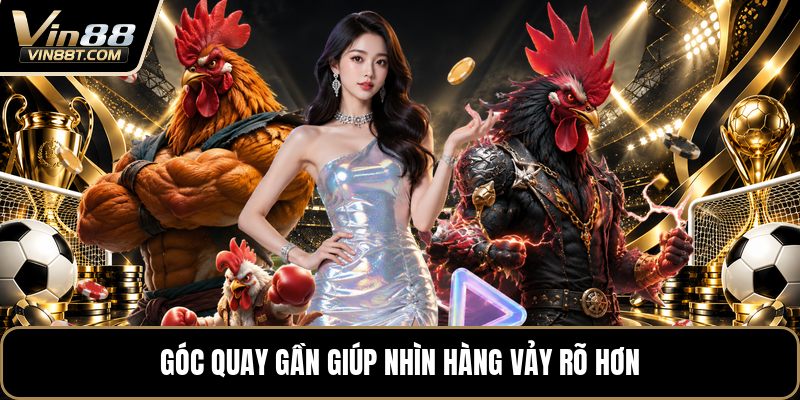 Vảy Gà Tứ Quý - Cách Nhận Biết Chuẩn Khi Xem Chân Gà Vảy Gà Tứ Quý - Cách Nhận Biết Chuẩn Khi Xem Chân Gà