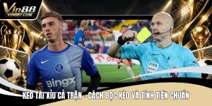 Thể Thao VIN88 – Những Bộ Môn Và Cược Hấp Dẫn Hàng Đầu