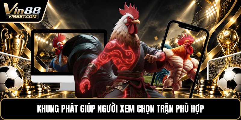 Đá Gà Trực Tiếp Thomo 24/7 - Xem Trận Gà Liên Tục 24H