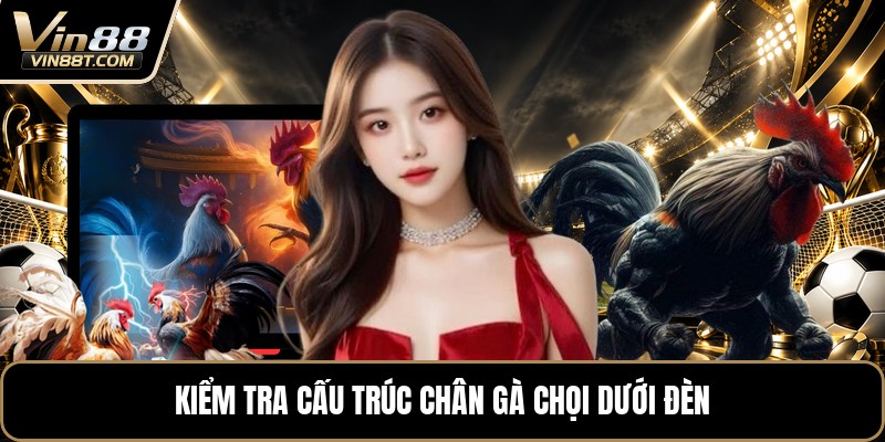 Vảy Gà Tam Tài - Cách Nhận Biết Qua Từng Hàng Vảy Gà Vảy Gà Tam Tài - Cách Nhận Biết Qua Từng Hàng Vảy Gà