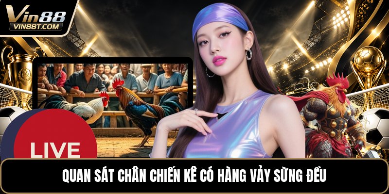 Vảy Gà Tứ Quý Phủ Địa - Cách Nhận Biết Dấu Vảy Chuẩn