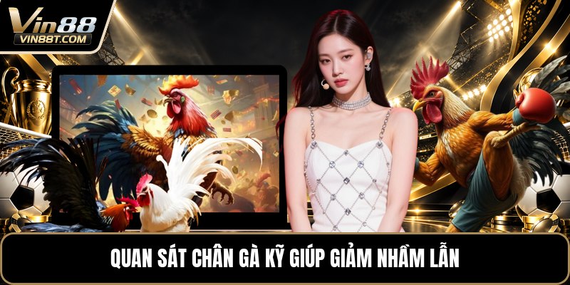 Vảy Gà Tứ Quý Phủ Địa - Cách Nhận Biết Dấu Vảy Chuẩn