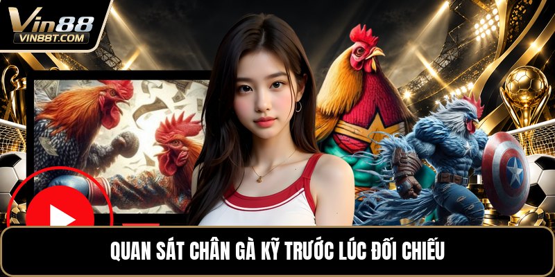 Vảy Gà Khai Vương - Dấu Hiệu Nhận Biết Trên Chân Gà Vảy Gà Khai Vương - Dấu Hiệu Nhận Biết Trên Chân Gà