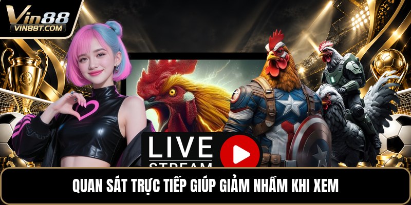 Vảy Gà Tứ Quý - Cách Nhận Biết Chuẩn Khi Xem Chân Gà Vảy Gà Tứ Quý - Cách Nhận Biết Chuẩn Khi Xem Chân Gà