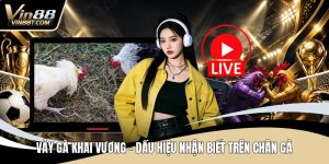 Đá Gà VIN88: Trải Nghiệm Đấu Kê Online Gay Cấn, Minh Bạch