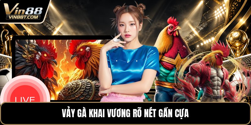 Vảy Gà Khai Vương - Dấu Hiệu Nhận Biết Trên Chân Gà Vảy Gà Khai Vương - Dấu Hiệu Nhận Biết Trên Chân Gà