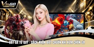 Đá Gà VIN88: Trải Nghiệm Đấu Kê Online Gay Cấn, Minh Bạch